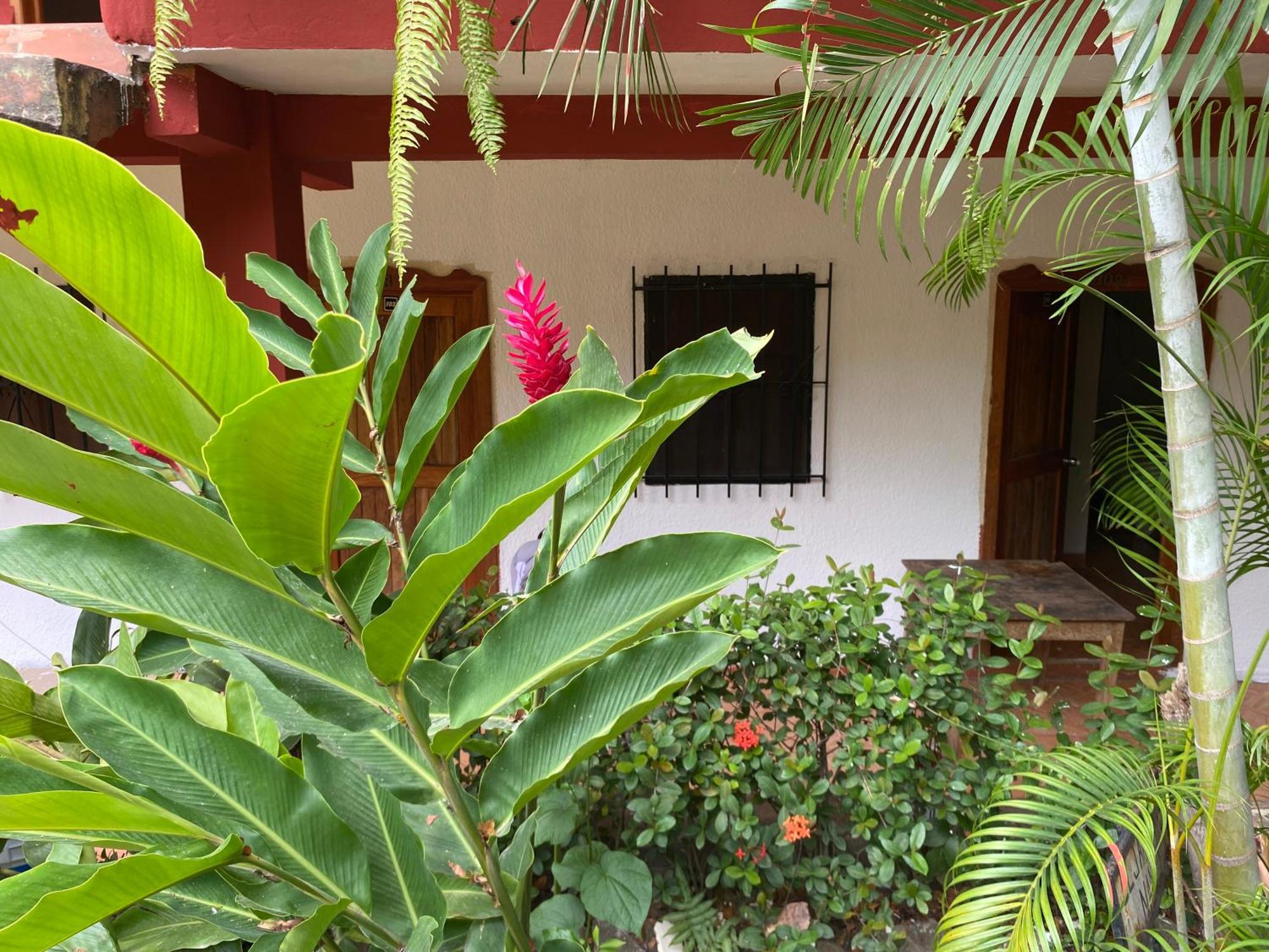 Hotel Posada La Cañada Palenque Exterior foto